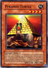Pyramid Turtle - TP5-EN017