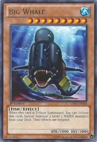 Big Whale - LTGY-EN008