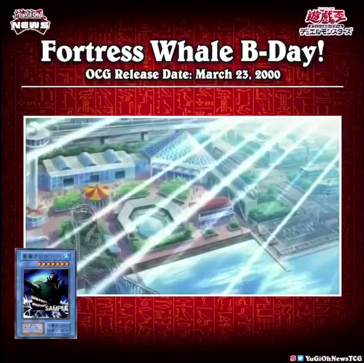 ❰𝗙𝗼𝗿𝘁𝗿𝗲𝘀𝘀 𝗪𝗵𝗮𝗹𝗲 𝗕-𝗗𝗮𝘆❱Today is the birthday of the OCG “Fortress Whale”  This c...