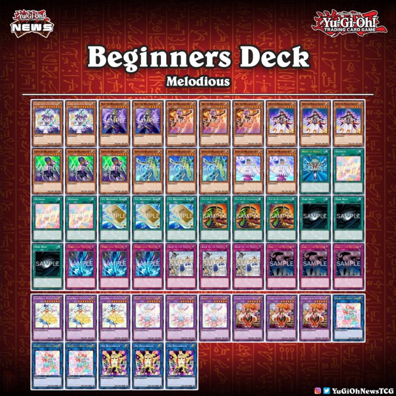 ❰𝗕𝗲𝗴𝗶𝗻𝗻𝗲𝗿𝘀 𝗗𝗲𝗰𝗸❱This deck profile is perfect for a beginner duelist  #遊戯王 #YuG...