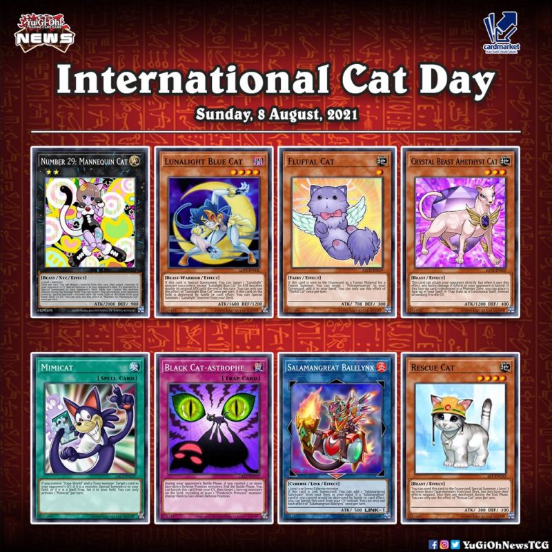 ❰𝗜𝗻𝘁𝗲𝗿𝗻𝗮𝘁𝗶𝗼𝗻𝗮𝗹 𝗖𝗮𝘁 𝗗𝗮𝘆❱Happy #InternationalCatDay! What's your favourite feline...